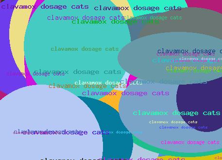 Clavamox dosage cats