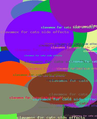 Clavamox for cats side effects